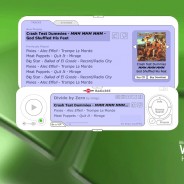 Desktop Software Flash Prototype